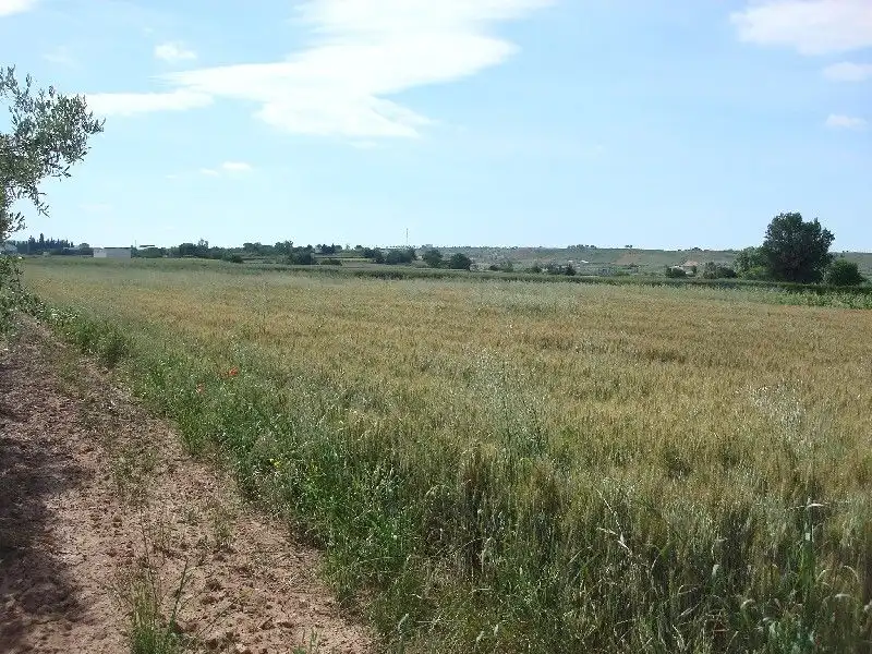 Terreny rústic en venda a Villamediana de Iregua, imagen 2