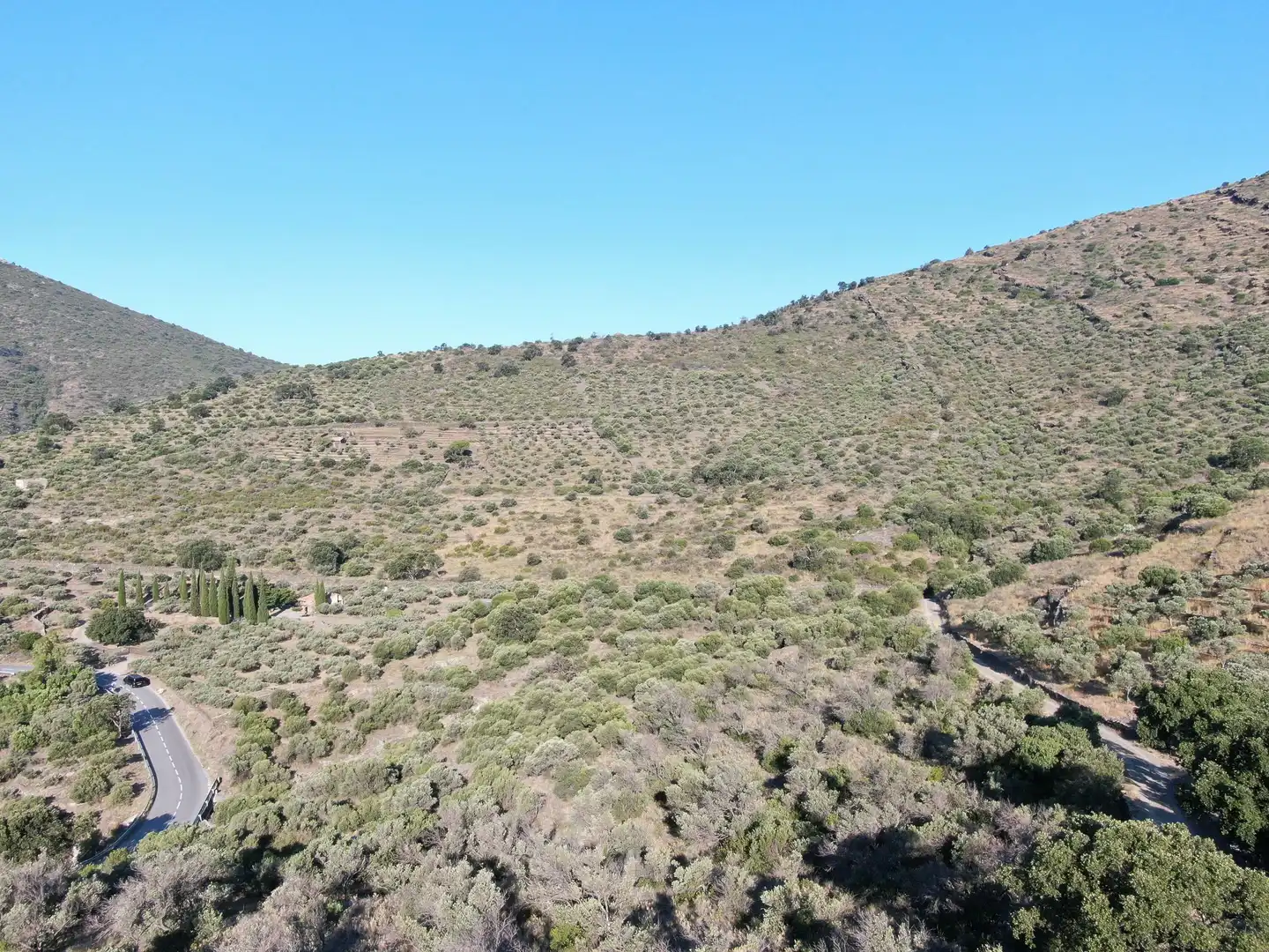 Lands and plots for sale in Ses Closes, imagen 3