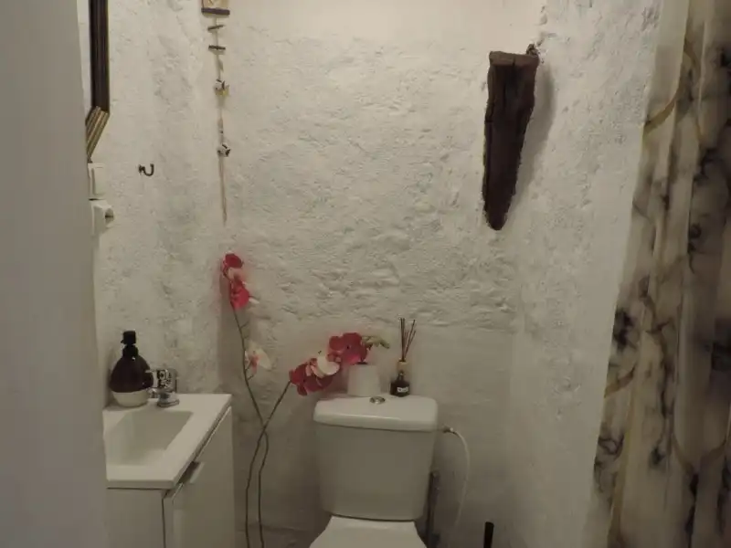 Bany de Casa o xalet en venda en Armuña de Tajuña amb Calefacció