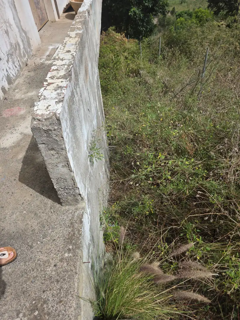 Gewerbefläche zum Verkauf in Tacoronte - Los Naranjeros, imagen 28