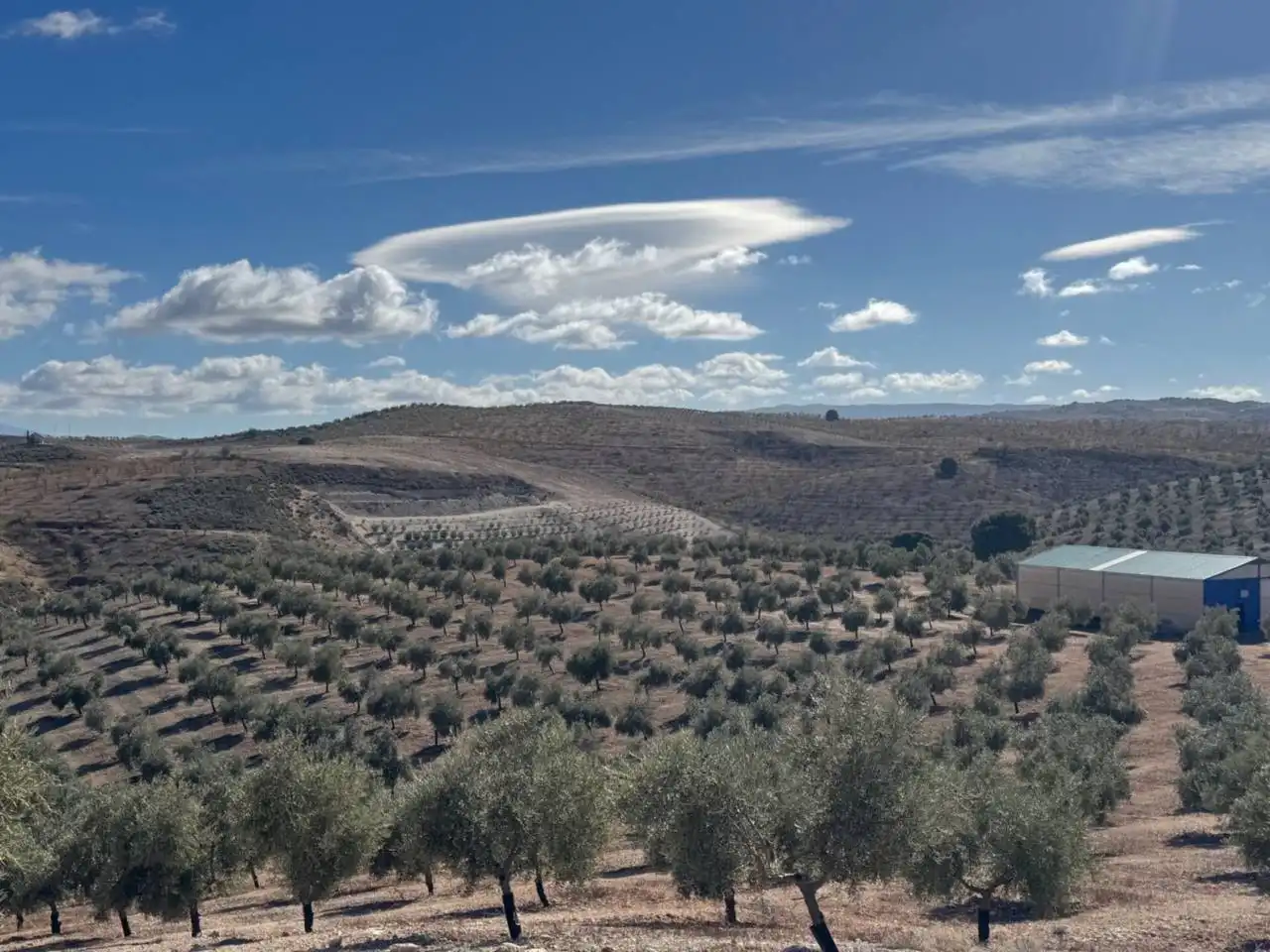 Terreni e lotti in vendita a Alhama de Granada, imagen 5