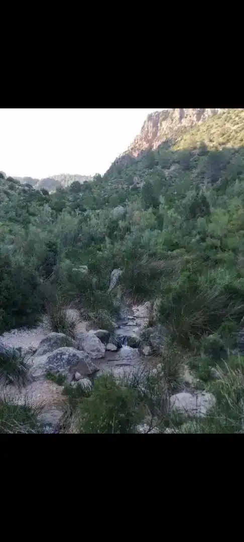 Terreno en venta en Yeste