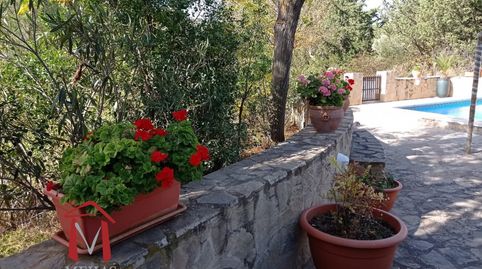 Foto 4 de Finca rústica en venta en Centro, Antequera