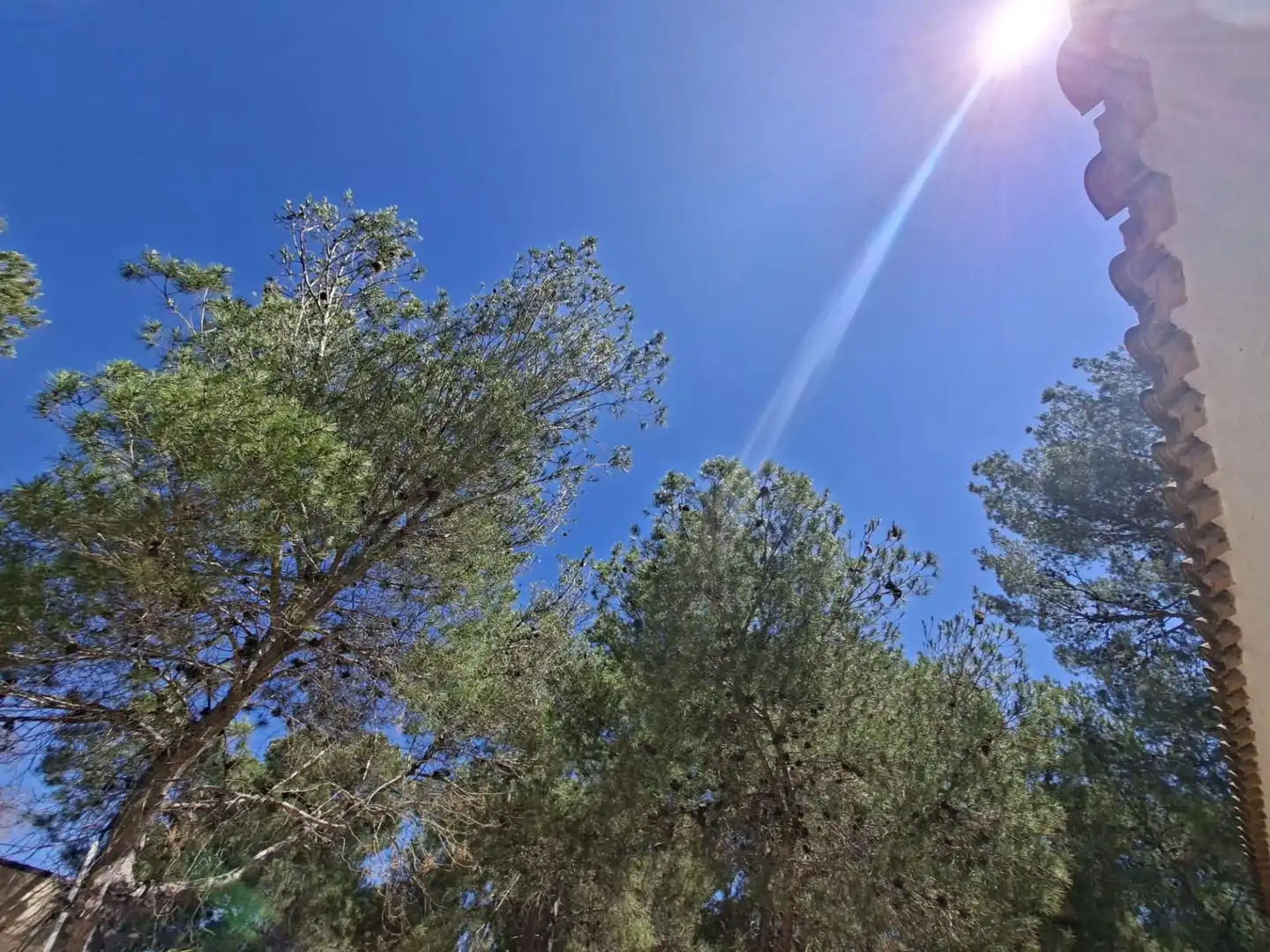 Casa o xalet en venda en Tibi amb Aire condicionat, Jardí privat i Terrassa