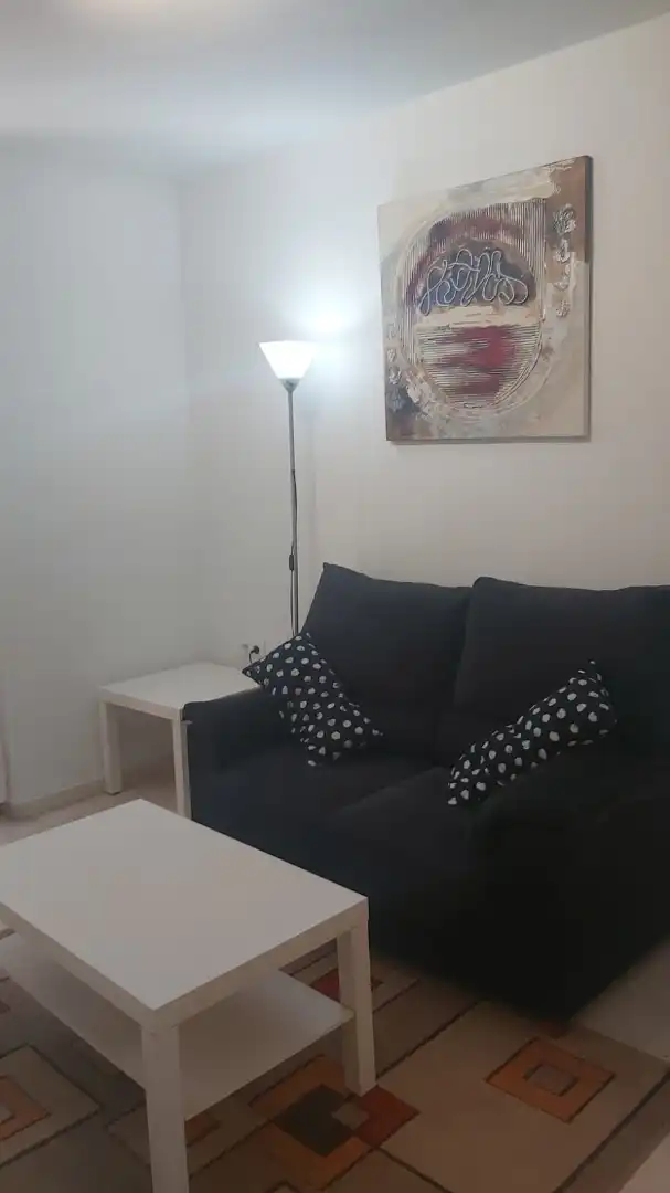 Mini appartamento in affitto a Calle Cardenal Mendoza, imagen 2