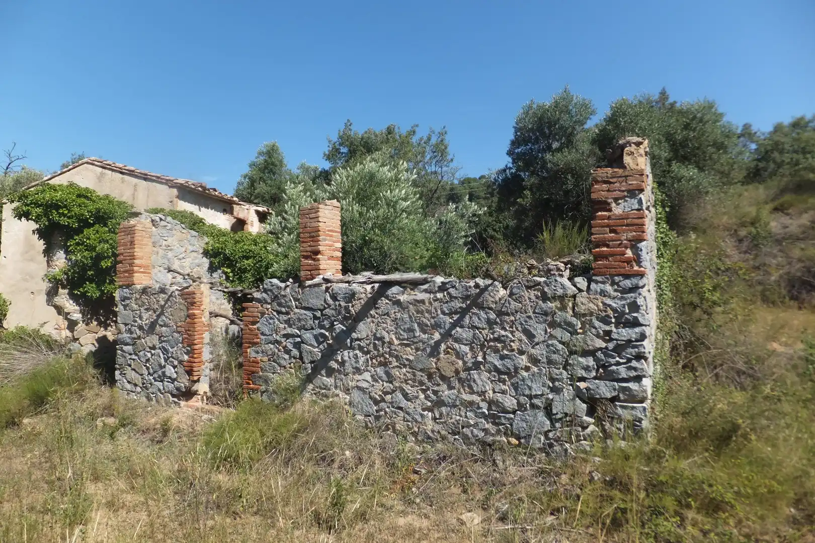 Land for sale in Alforja