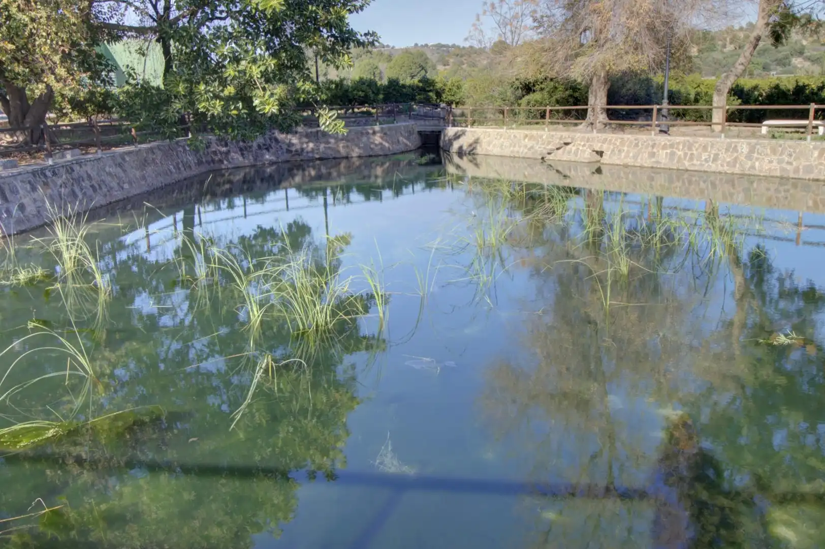 Piscina de Residencial en venda en La Llosa