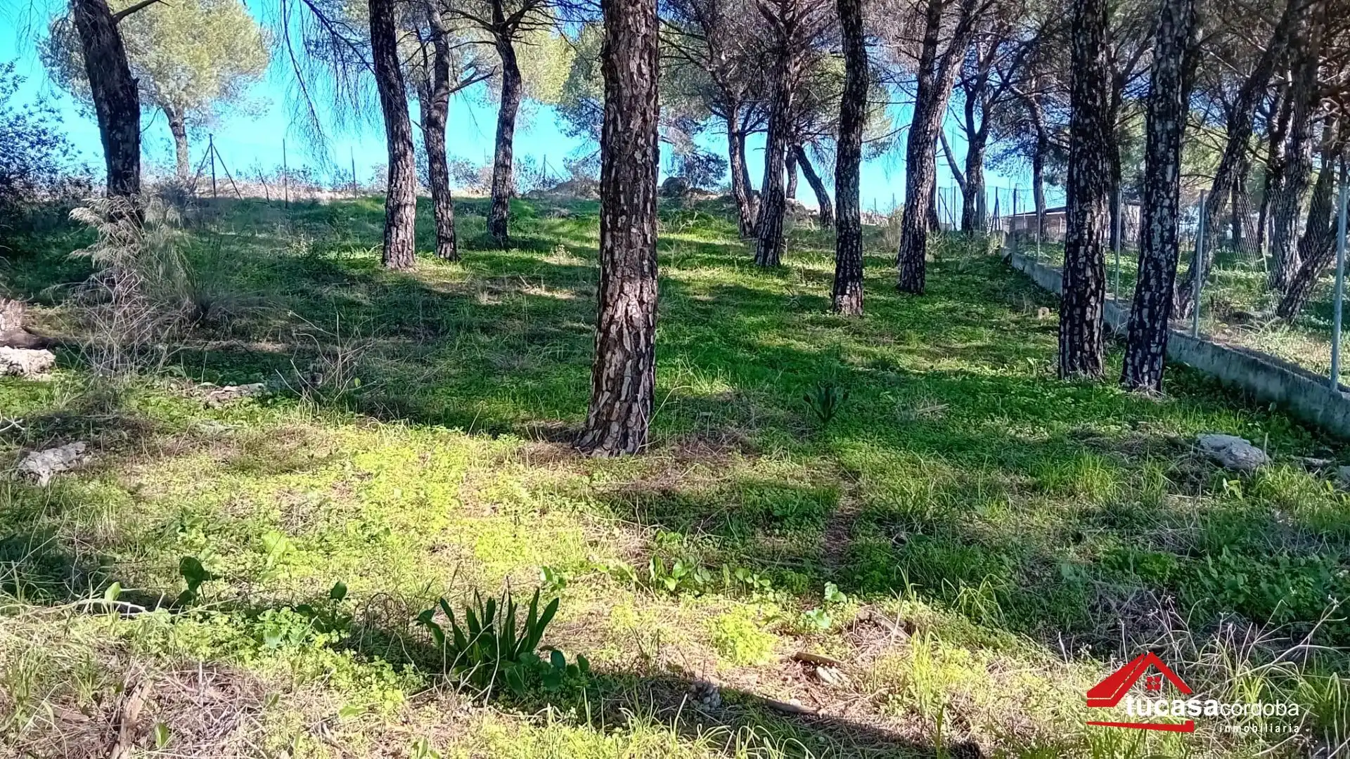 Wohnbaugrundstück zum Verkauf in Periurbano Este - Campiña, imagen 5