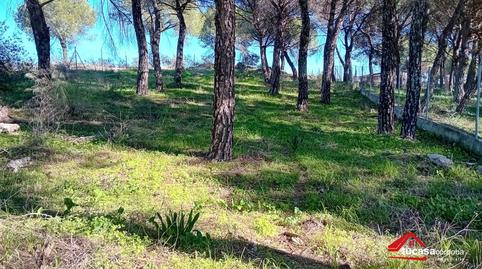 Photo 5 of Residential for sale in Alcolea,  Córdoba Capital