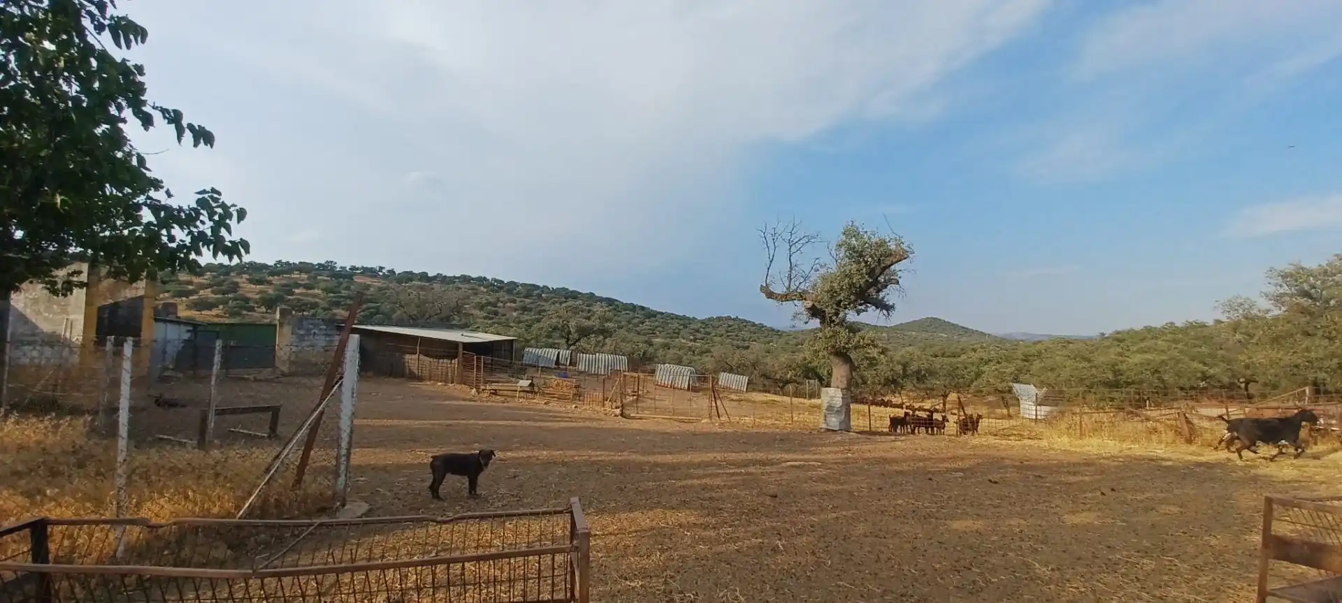 Terreny rústic en venda a Santa Olalla del Cala, imagen 32