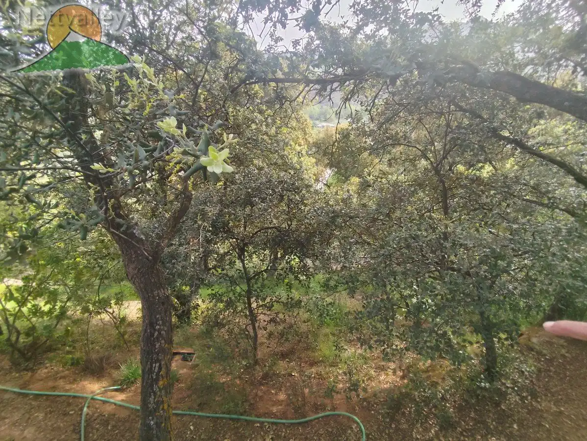 Finca rústica en venta en Dílar con Terraza