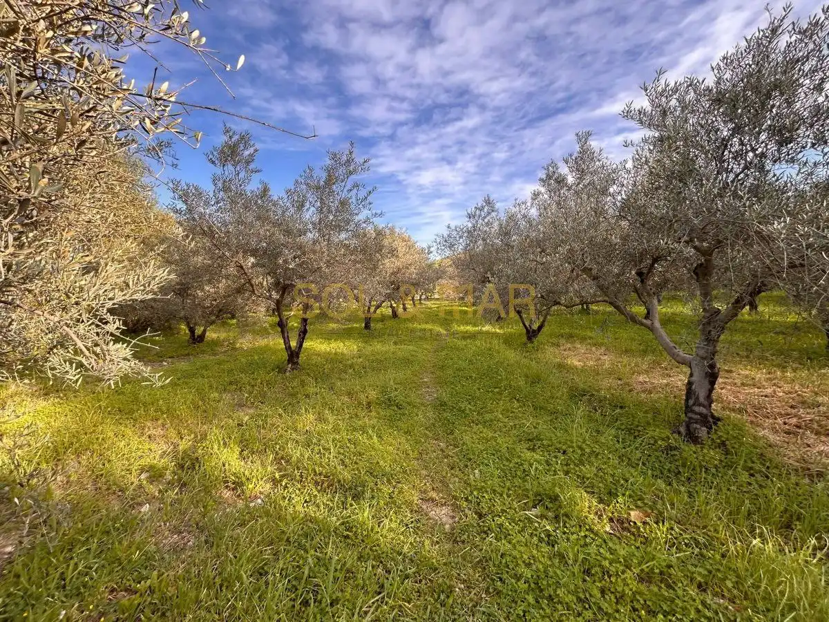 Casa rústica en venta en Nueva Aljaima - Las Tres Leguas - Los Mondeños, imagen 30