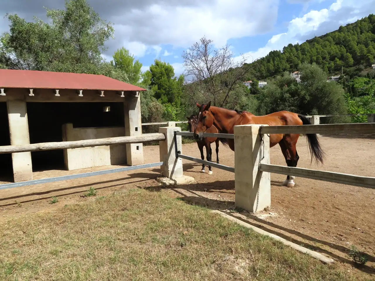 Villa avec terrasse à vendre à Orba, imagen 4