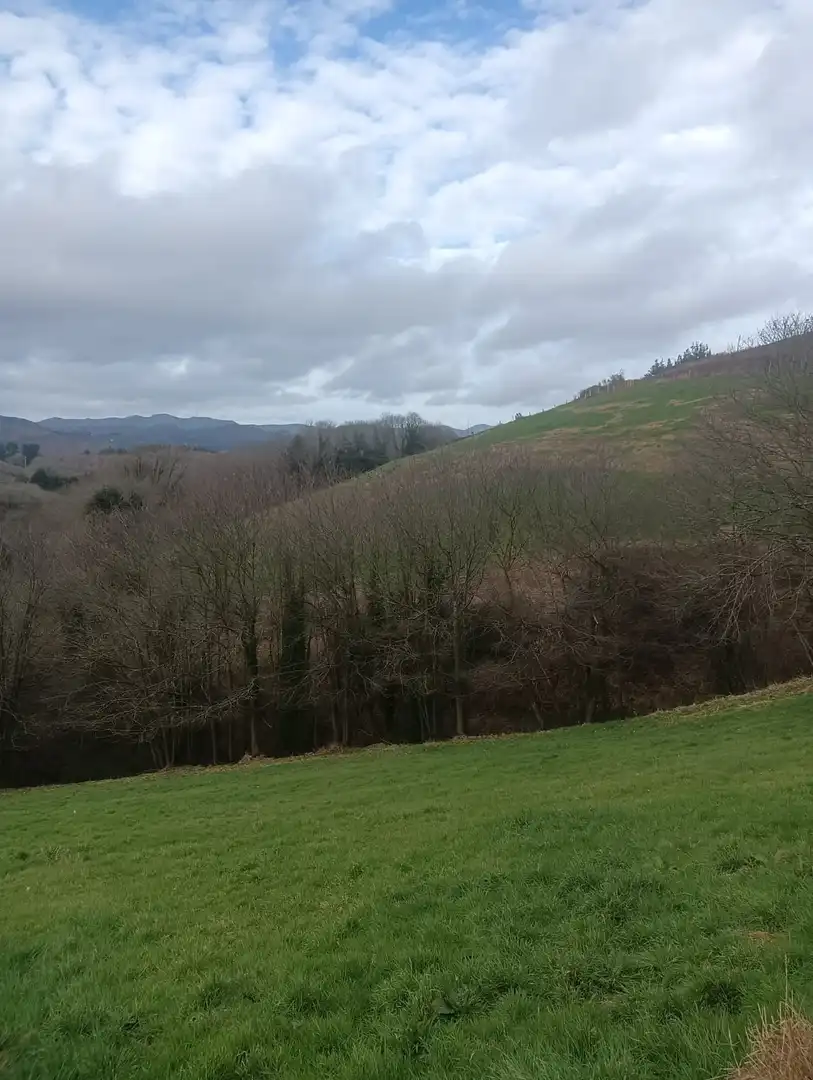 Terreny en venda en Tineo