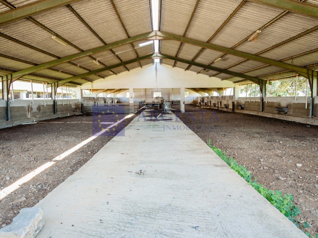 Finca rústica en venda en Navalmoral de la Mata