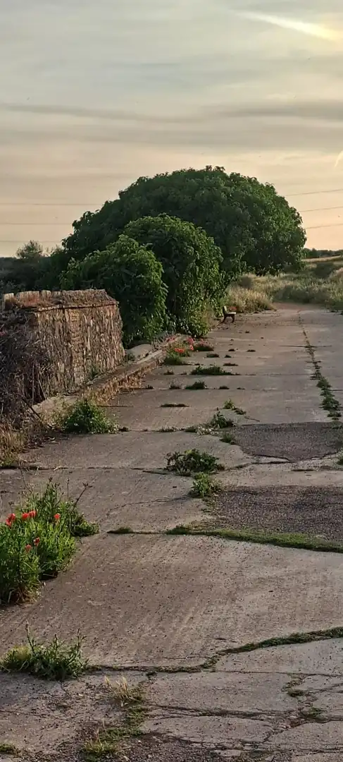 Exterior view of Land for sale in El Puente del Arzobispo