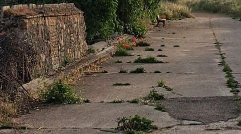 Foto 5 de Terreny en venda a Calle Toledillo, El Puente del Arzobispo, Toledo