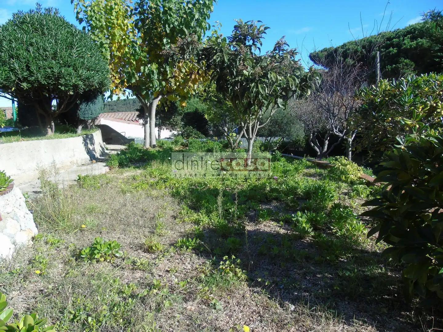 Casa o chalet en venta en Mas Mora - Sant Daniel