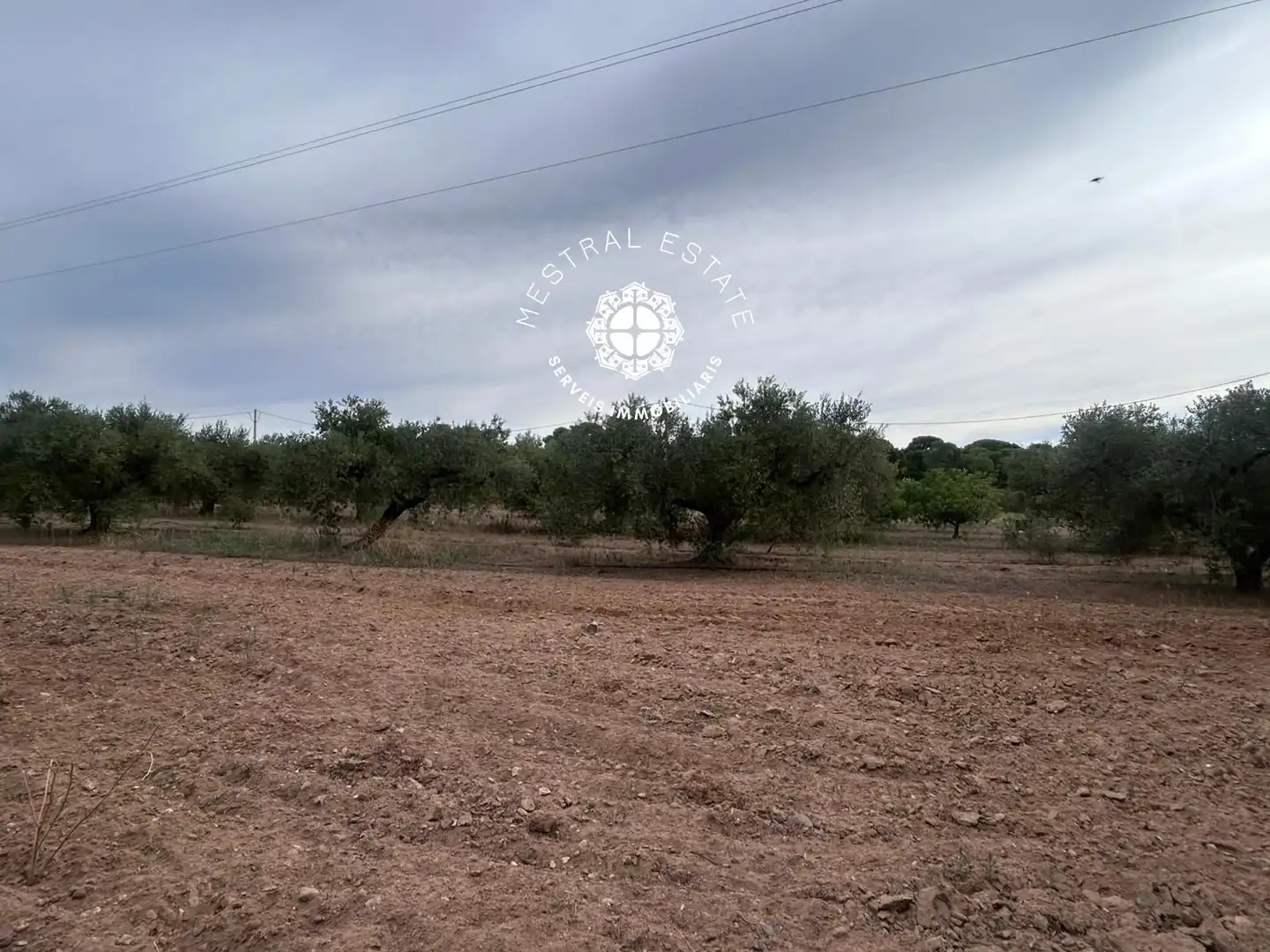 Terreno en venta en Cambrils