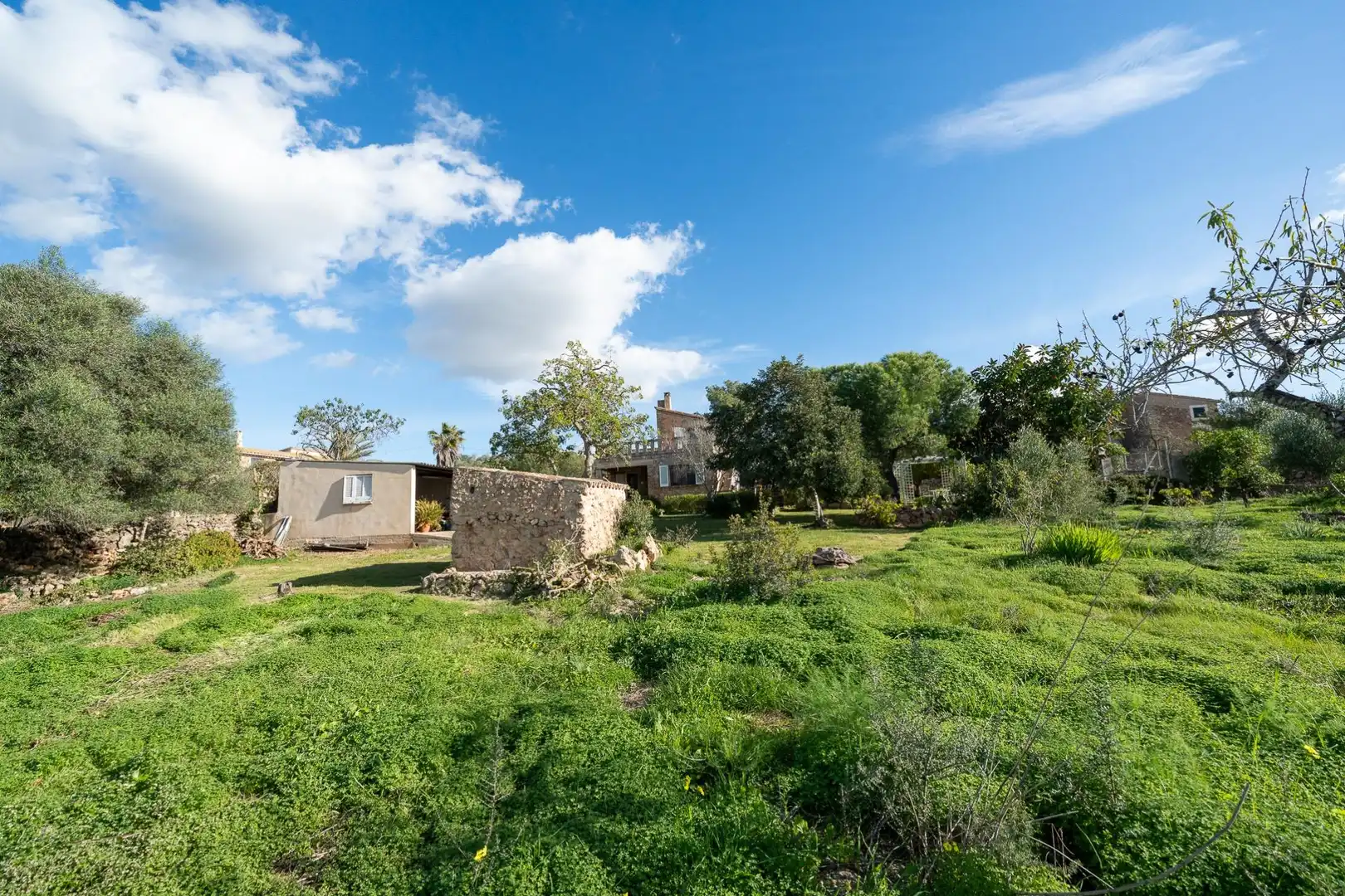 Casa con piscina in vendita a Pòrtol, imagen 41