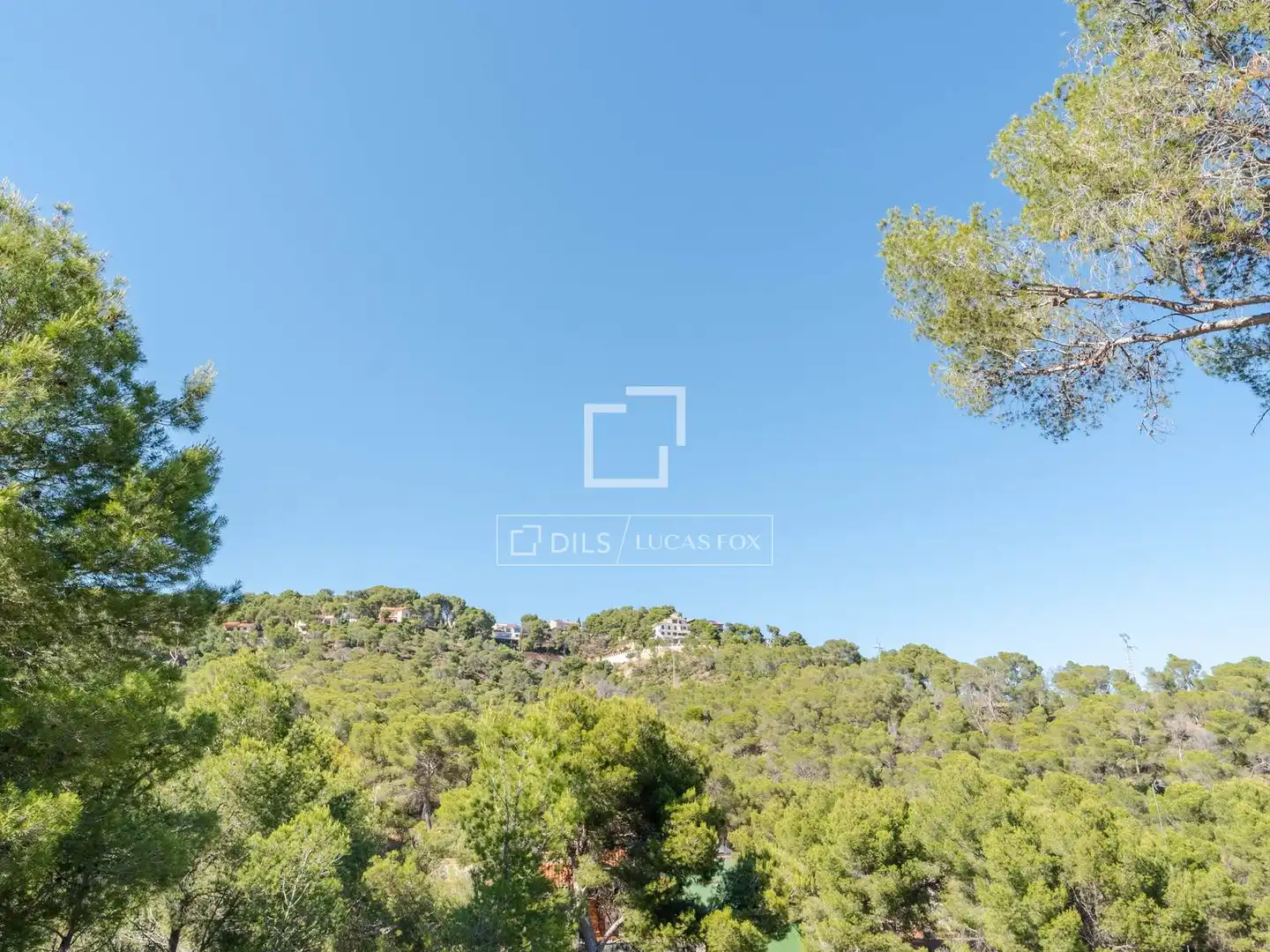 Villa con piscina in vendita a Monteamor - La Carrasca - El Peucal, imagen 3