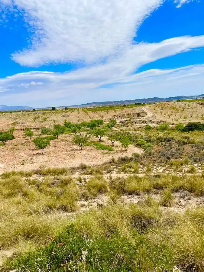 Terreni e lotti in vendita a Pedanías Norte, imagen 19