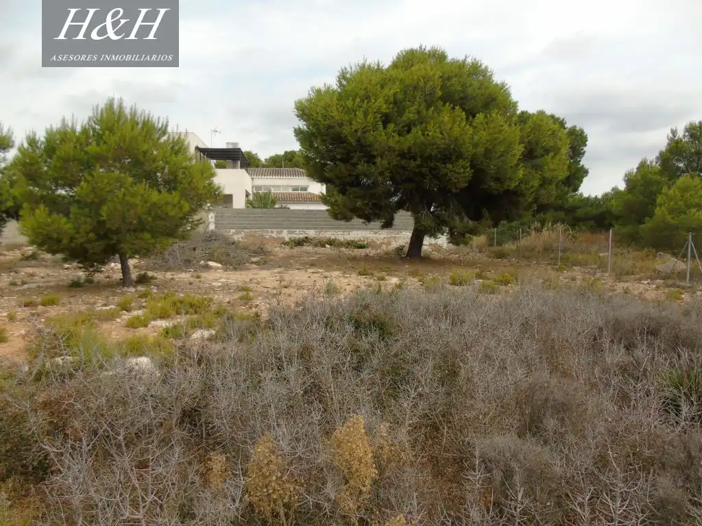 Terreno residenziale in vendita a Camí de Paterna - Lloma del Calderer, imagen 4