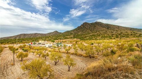 Foto 3 de Casa o chalet en venta en Jumilla, Murcia