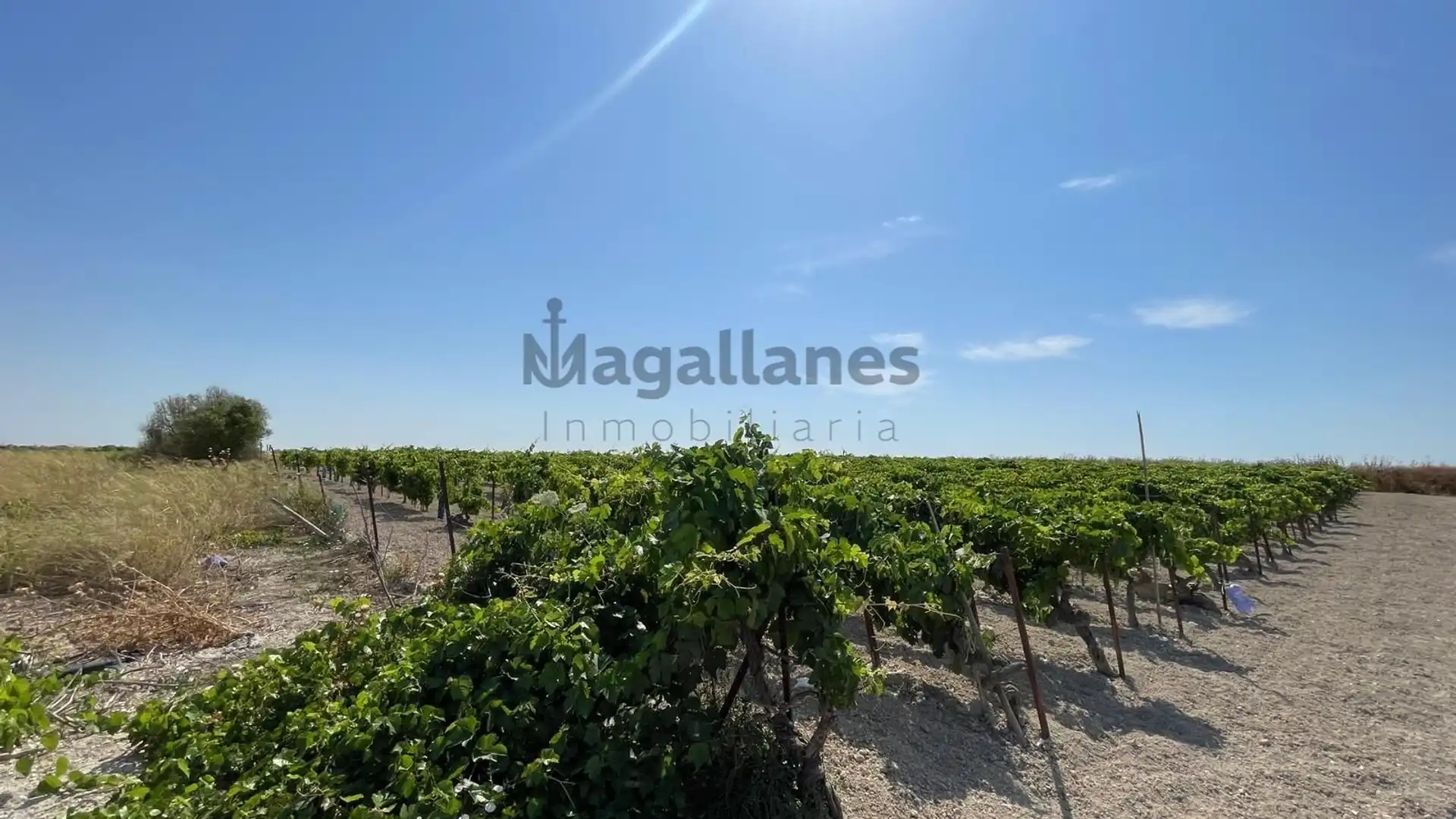 Land for sale in Sanlúcar de Barrameda