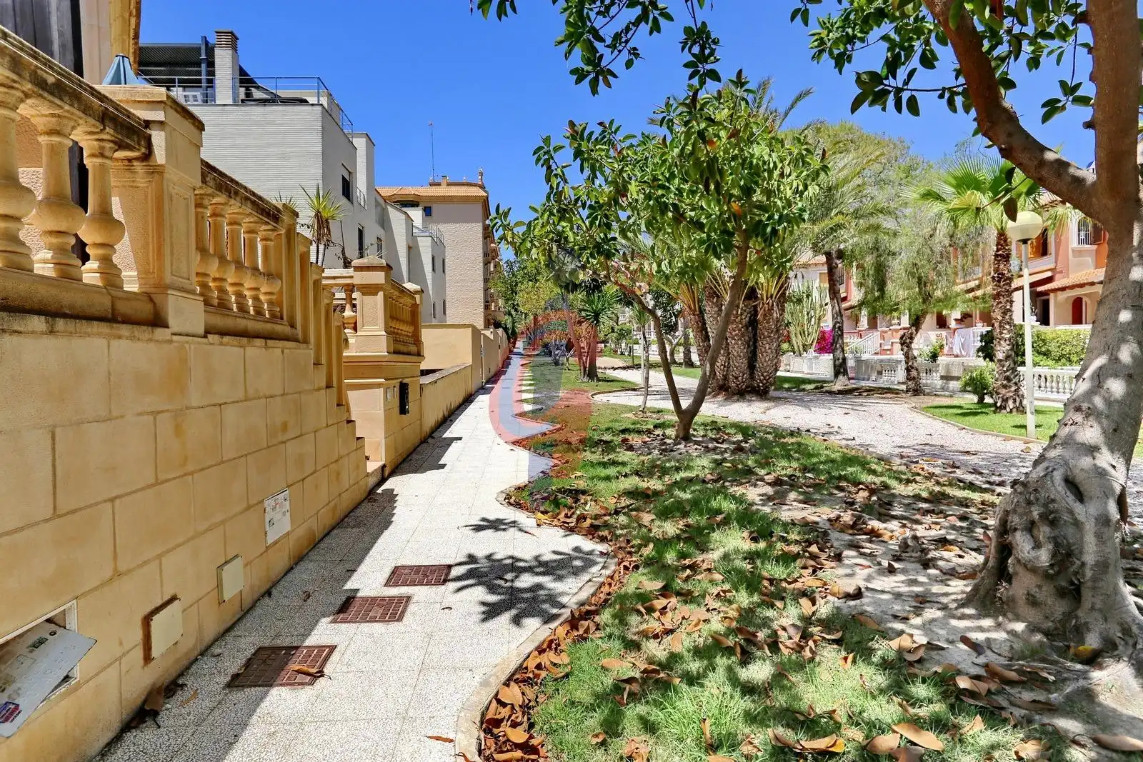 Vista exterior de Casa o chalet en venta en Guardamar del Segura con Aire acondicionado, Jardín privado y Terraza