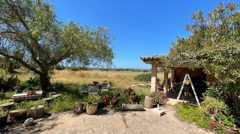 SANTANYÍ – ENORME FINCA CON MUCHAS POSIBILIDADES, imatge 4
