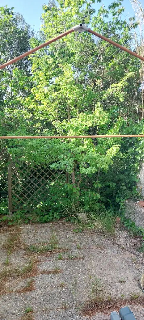 Jardín de Casa o chalet en venta en Cabrera d'Anoia con Jardín privado, Terraza y Trastero