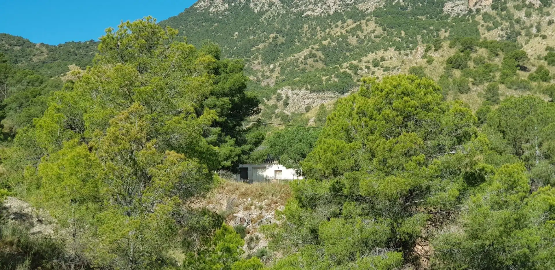 Vista exterior de Casa o chalet en venta en Aledo con Terraza y Trastero