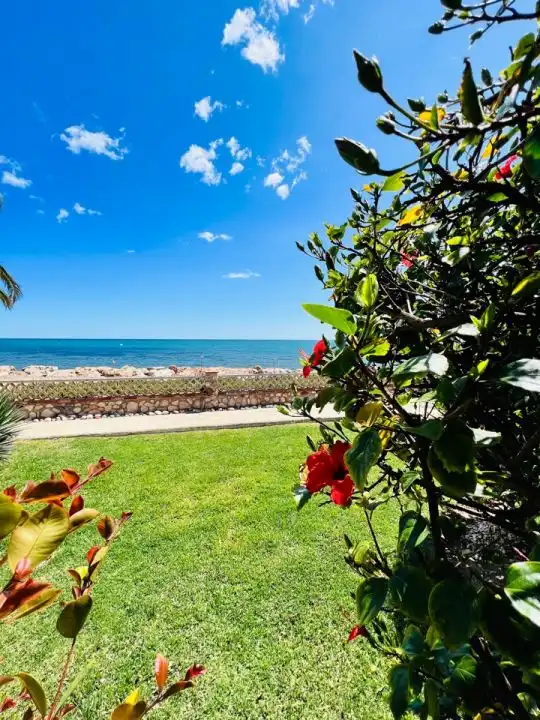 Houses for sale in Platja de Mont-roig