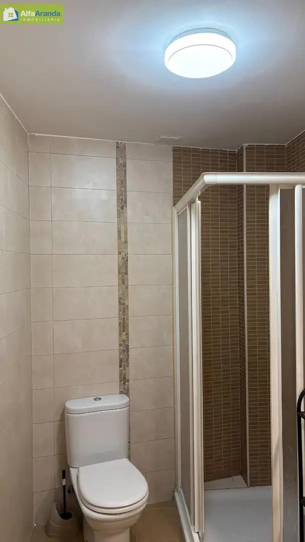 Bany de Apartament de lloguer en Aranda de Duero amb Calefacció i Moblat