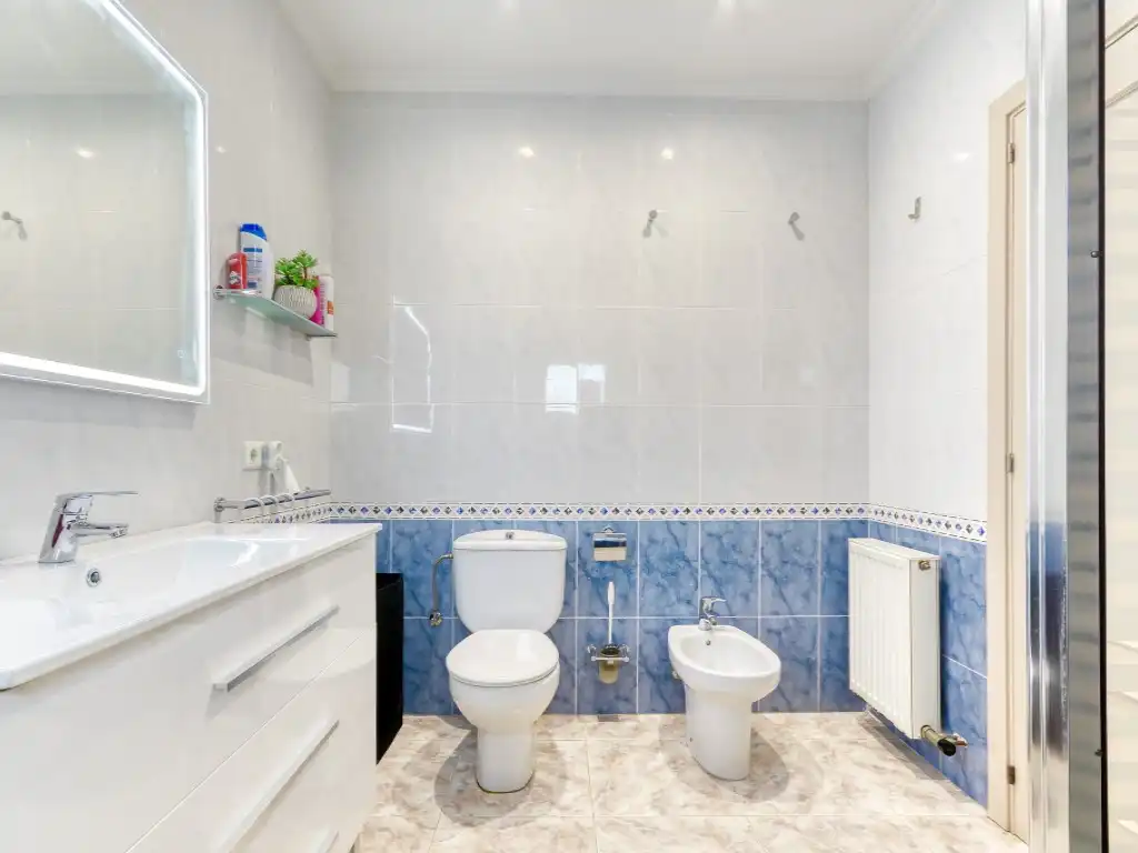 Baño de Casa o chalet en venta en Vilafant