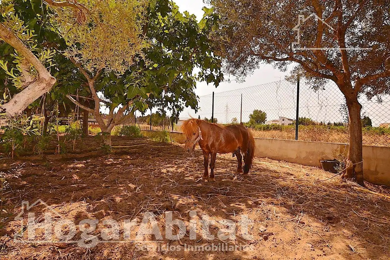Vista exterior de Casa o xalet en venda en Oliva amb Aire condicionat, Jardí privat i Terrassa