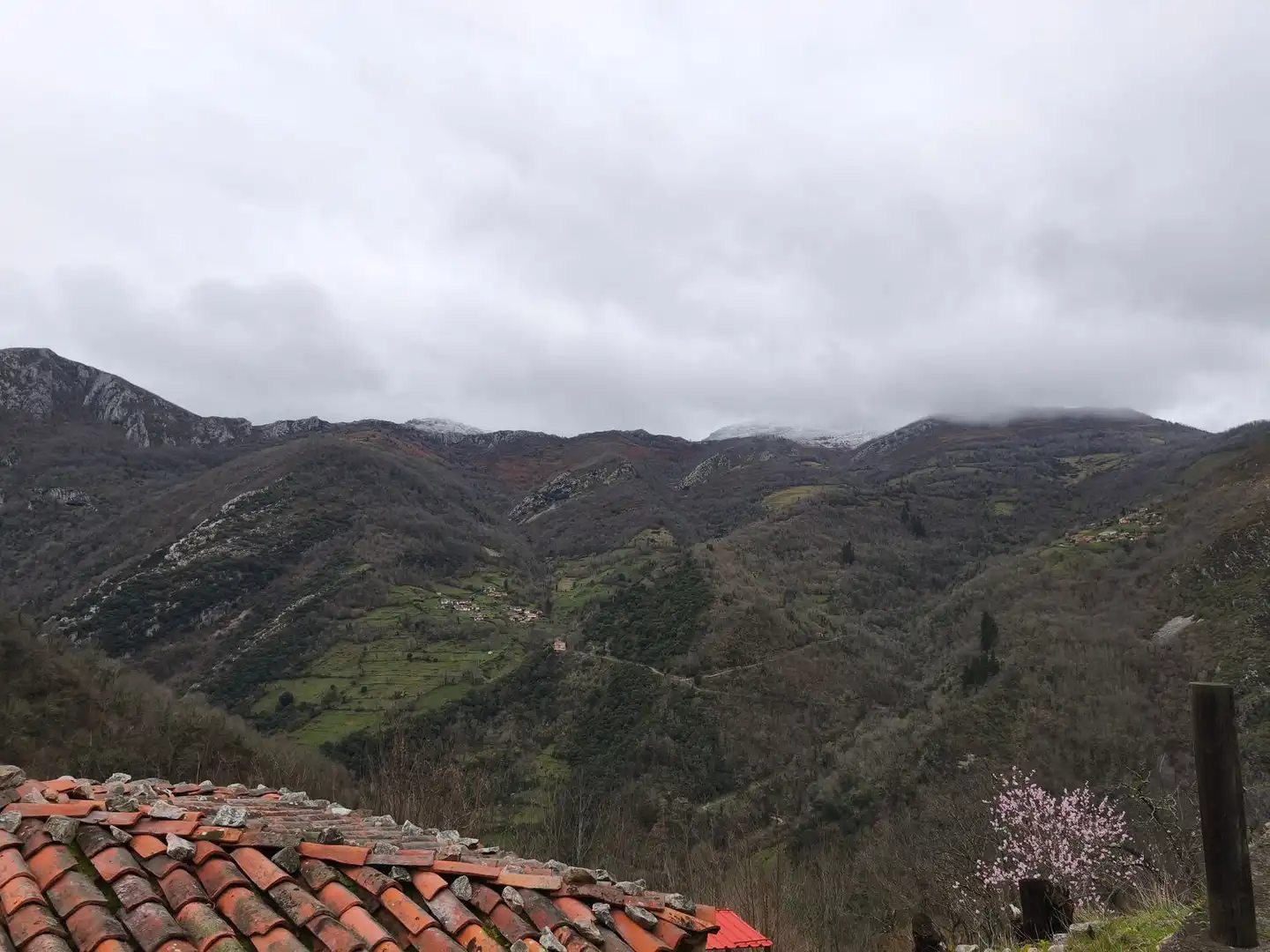 Vista exterior de Casa o chalet en venta en Proaza con Piscina
