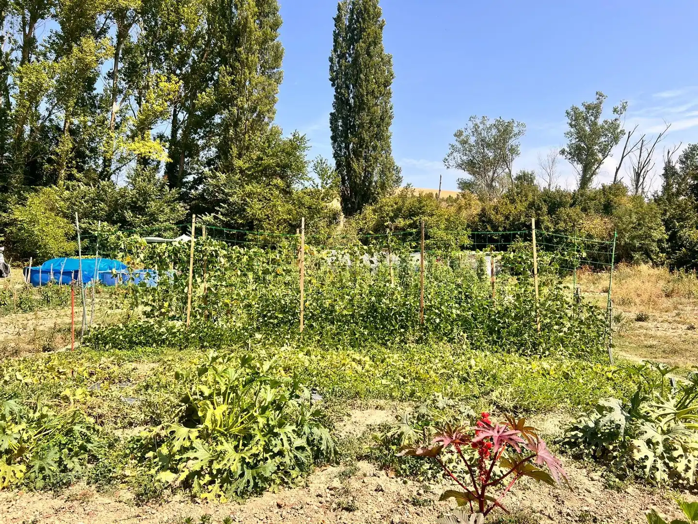 Terreno rústico en venta en Urroz-Villa, imagen 3