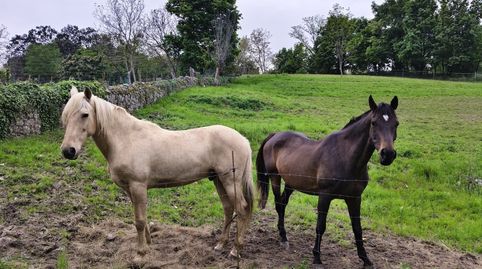Foto 5 de Casa adosada de alquiler en Solares - Travesía Virgen Pilar, Solares - Valdecilla, Medio Cudeyo