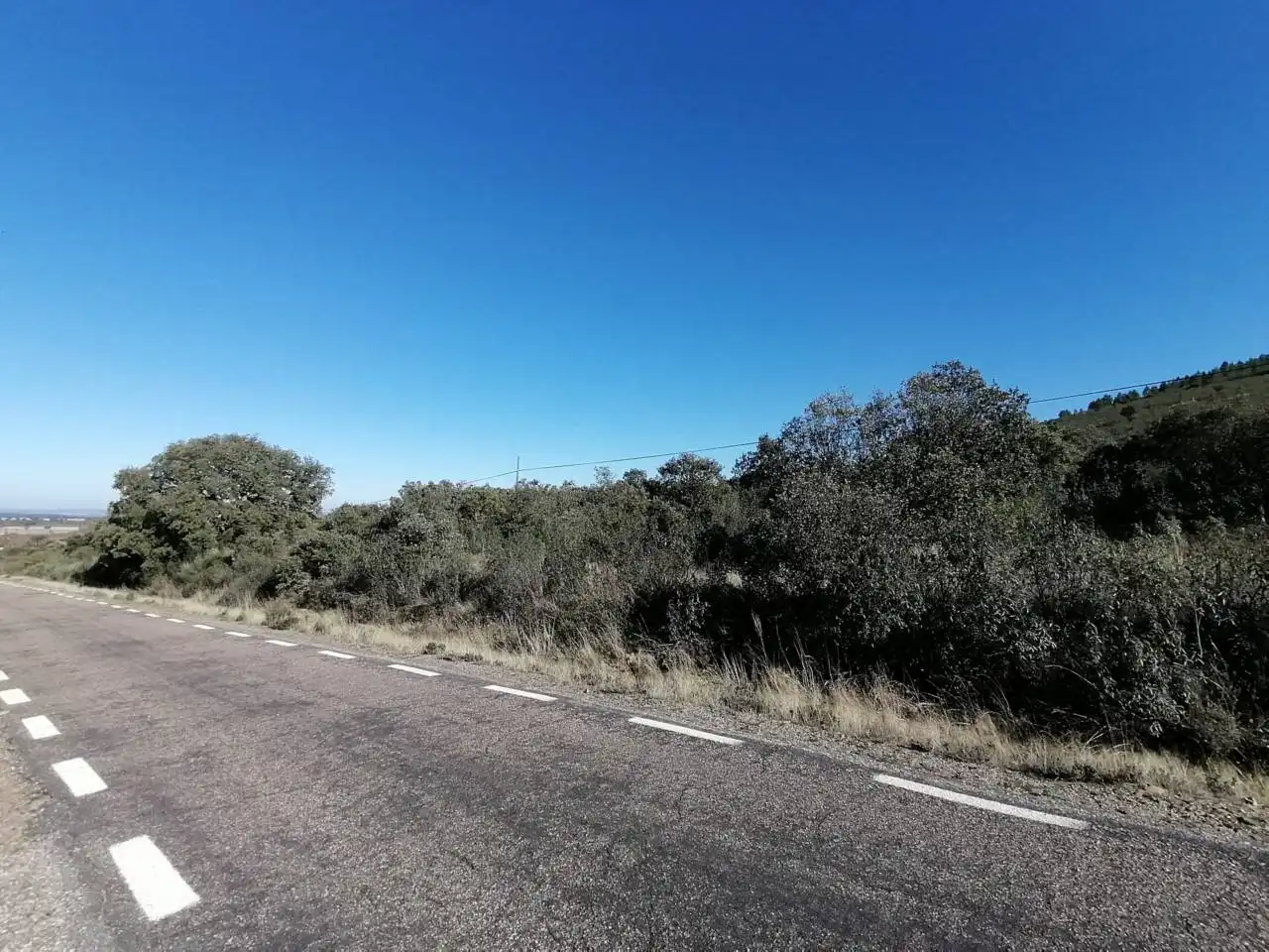 Terreny rústic en venda a Serradilla del Arroyo, imagen 15