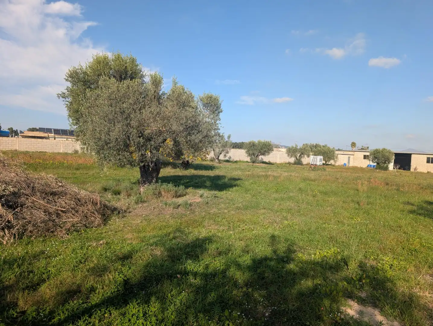 Terreno rustico in vendita a Partidas de interior - Zona Rústica, imagen 23