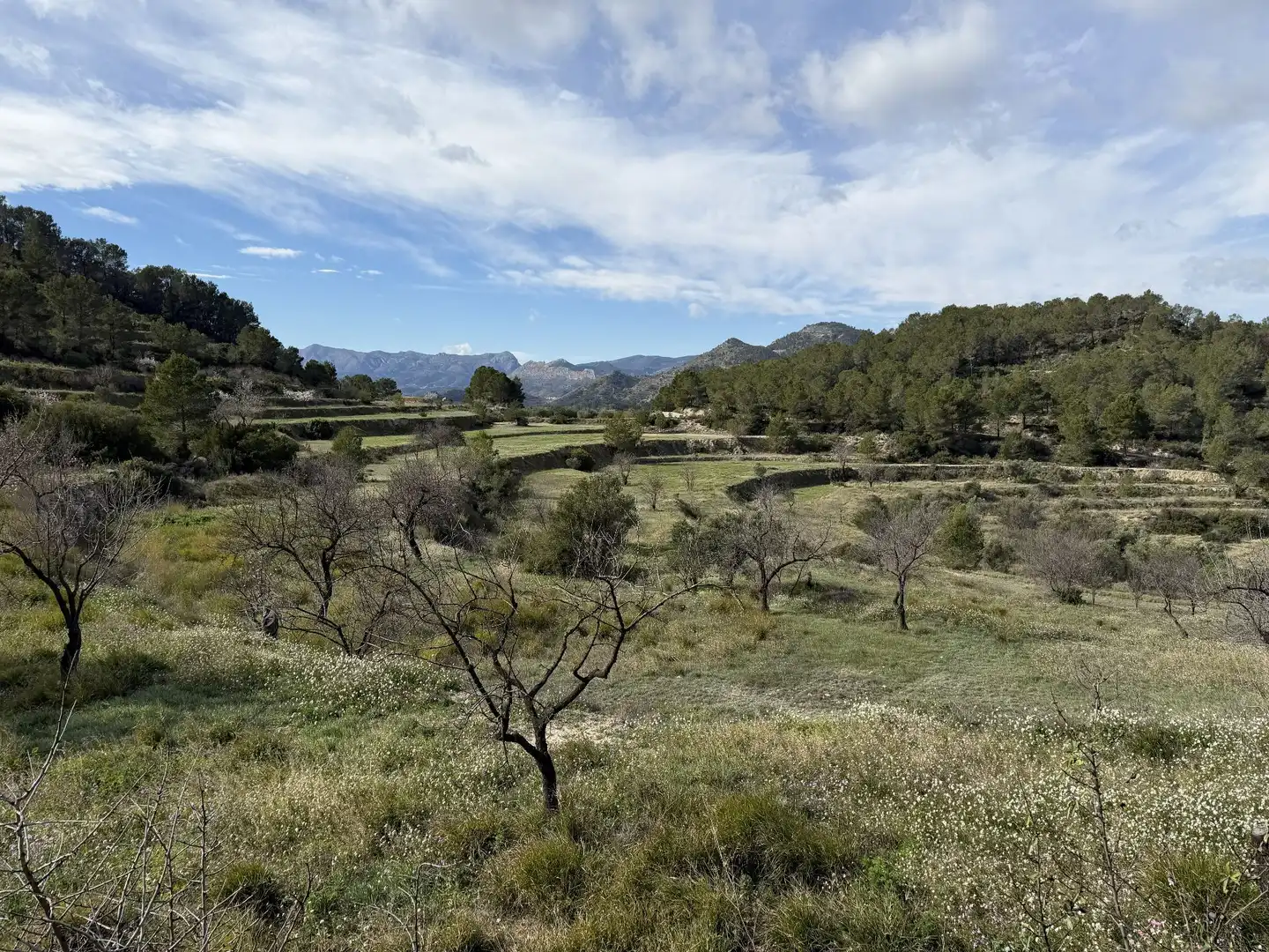 Country house with garden for sale in Sella, imagen 25