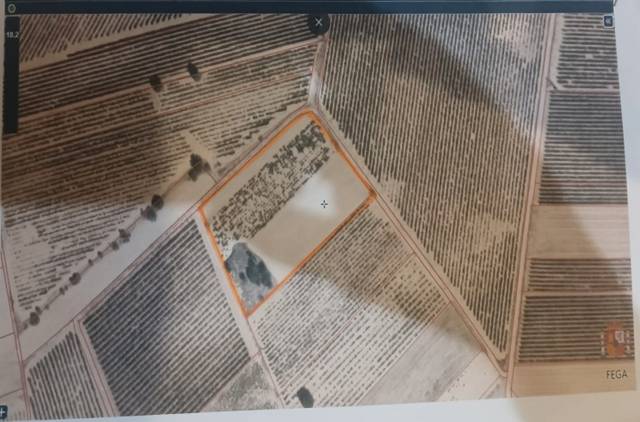 Terreno en Venta en N/A, -1 en Castrillo de la Vega