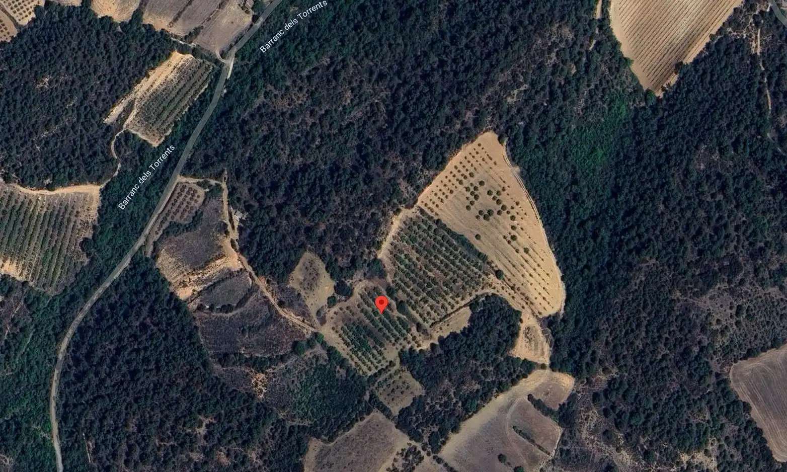Rural land for sale in Vimbodí i Poblet