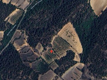 Terreny rústic en venda a Vimbodí i Poblet