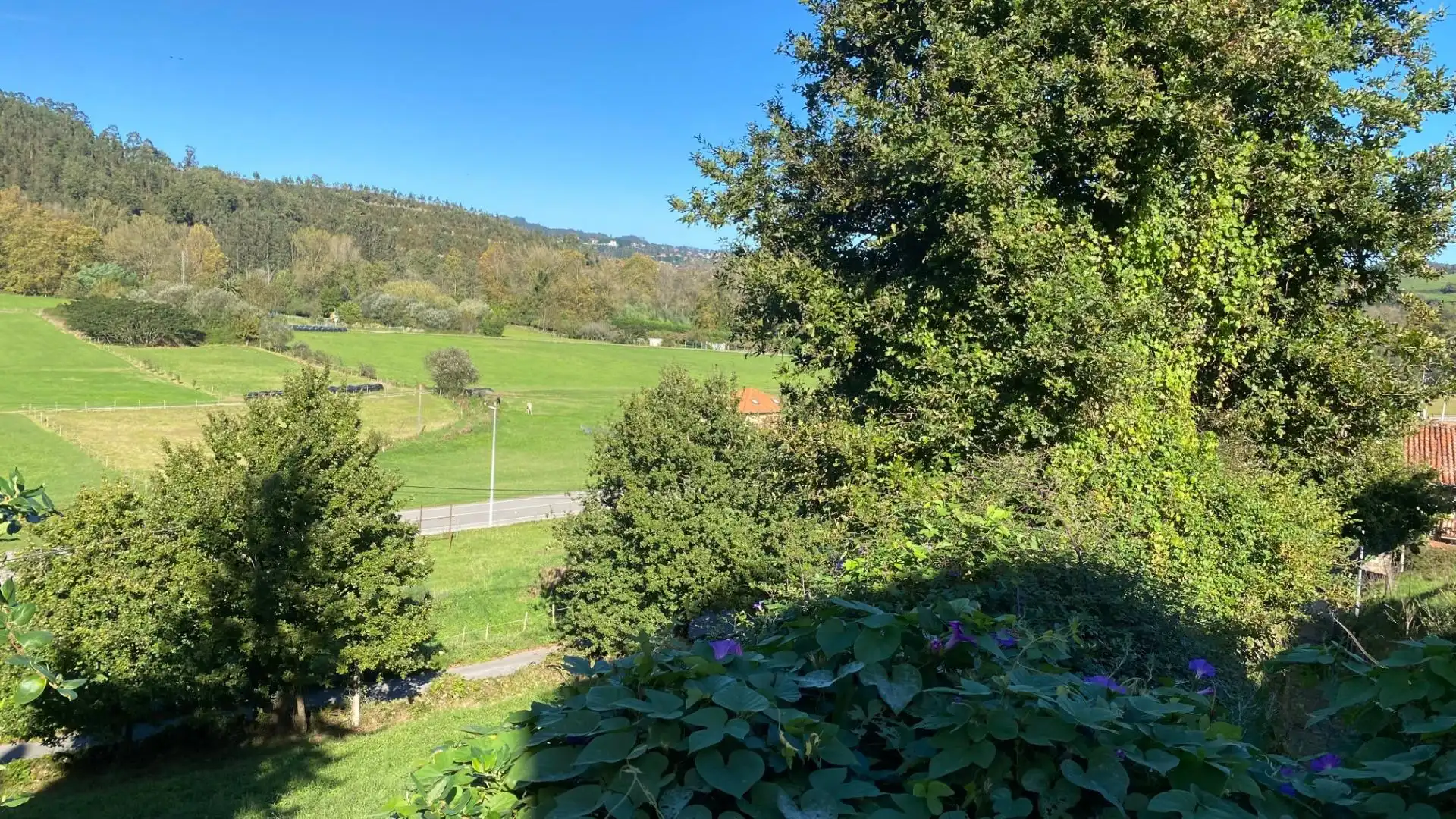 Garten von Residential zum Verkauf in Piélagos