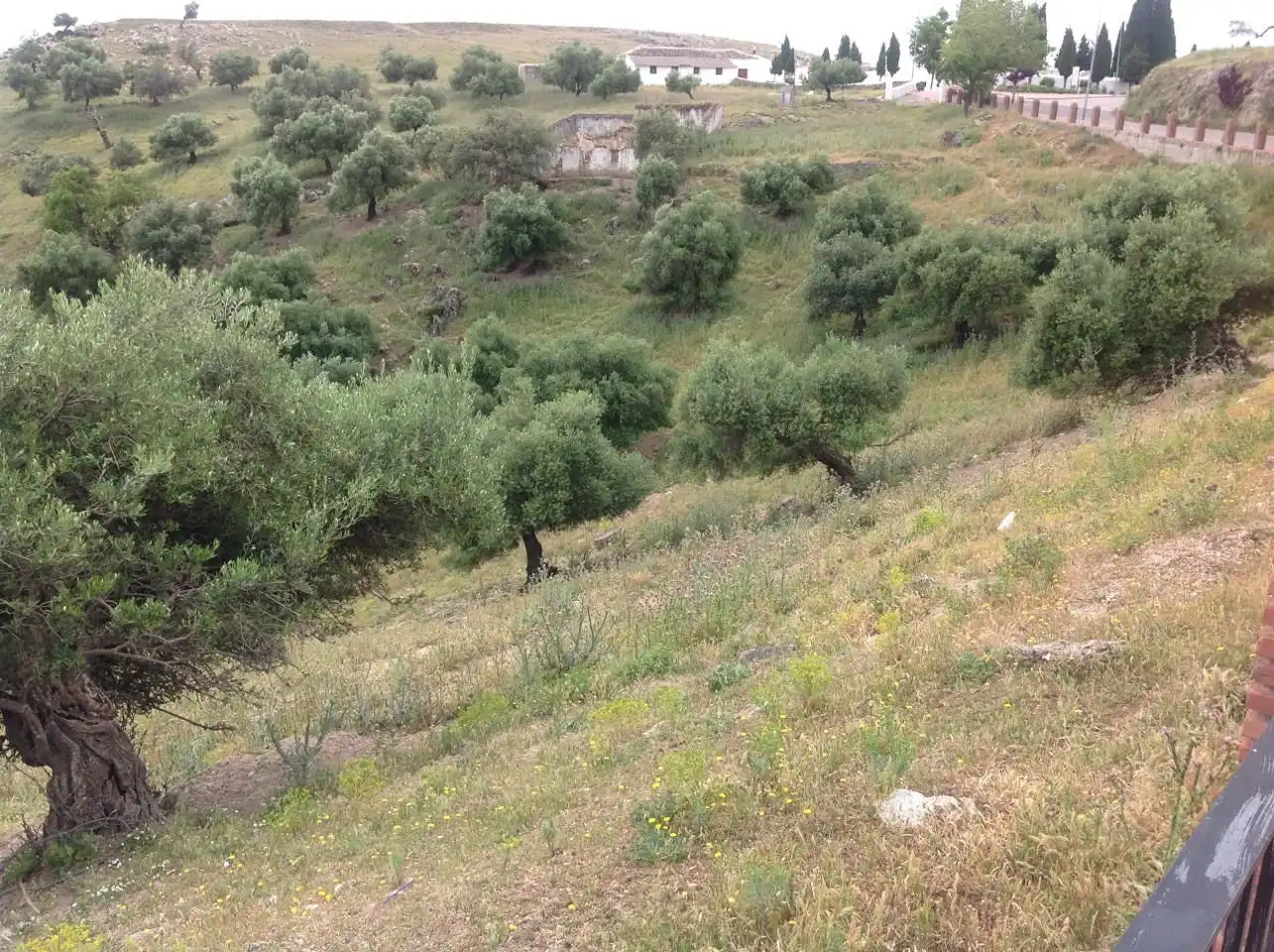Terreni e lotti in vendita a Cañete la Real, imagen 3