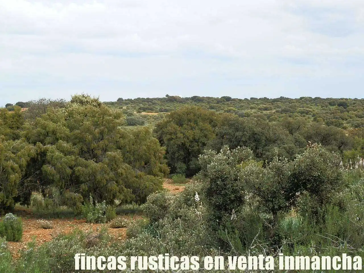 Terreno rustico in vendita a Ruidera, imagen 4