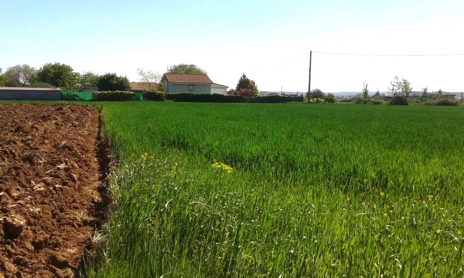 Terrenys i solars en venda a Alberite, imagen 2